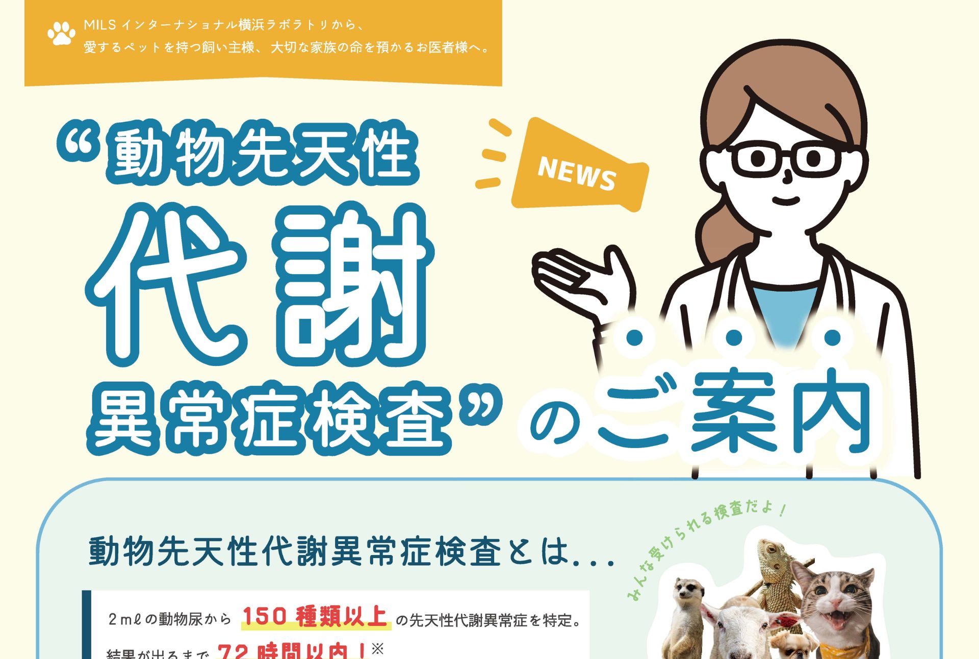 グラフィック制作実績イメージ